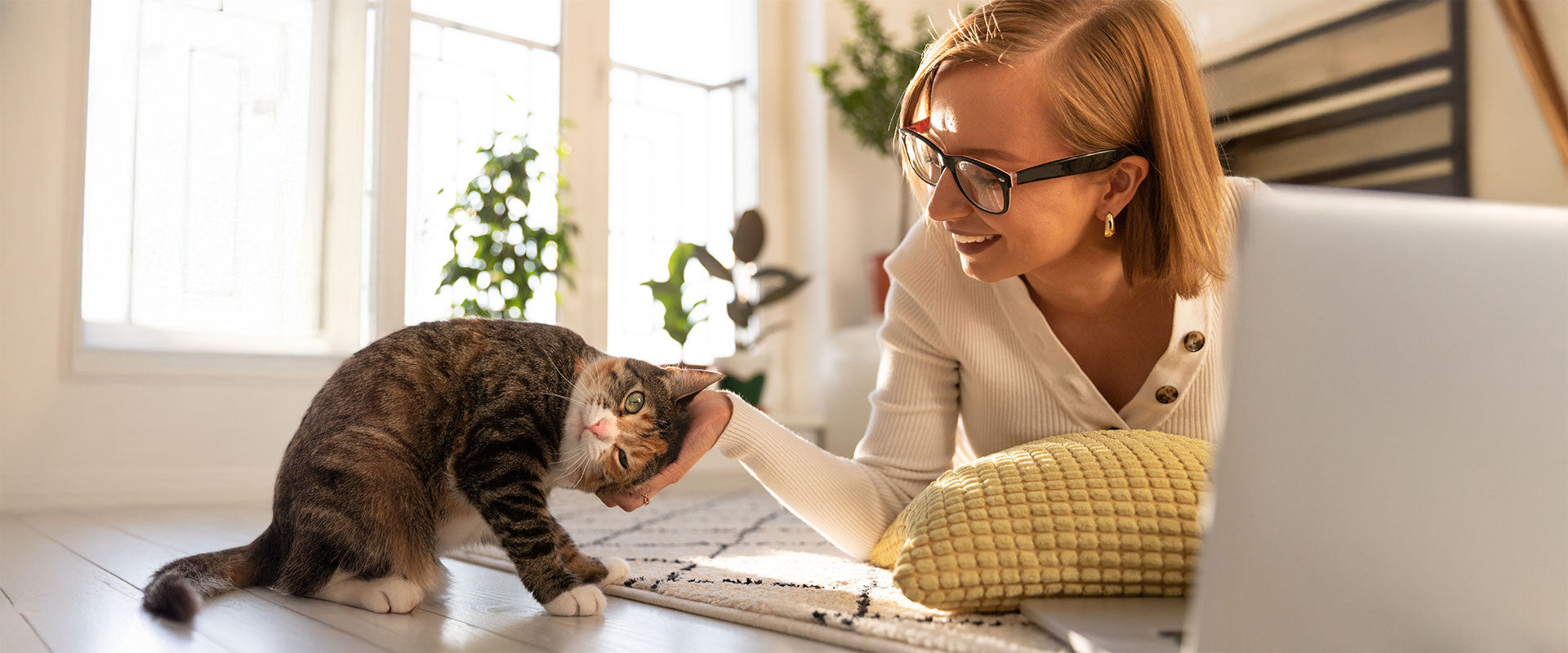 Keeping Indoor Cats Happy: The Catkea Way