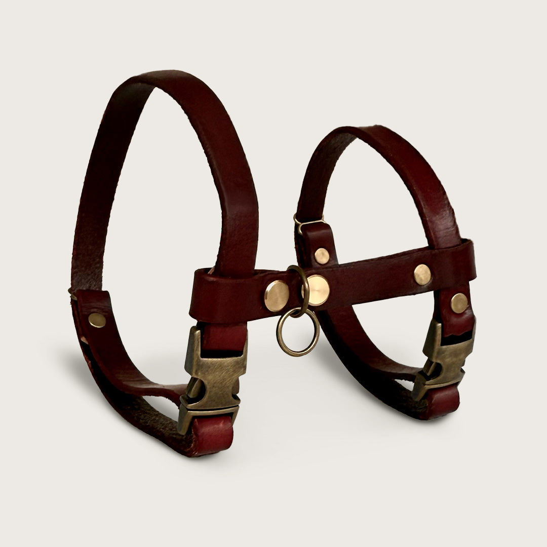 Leather Cat Harness