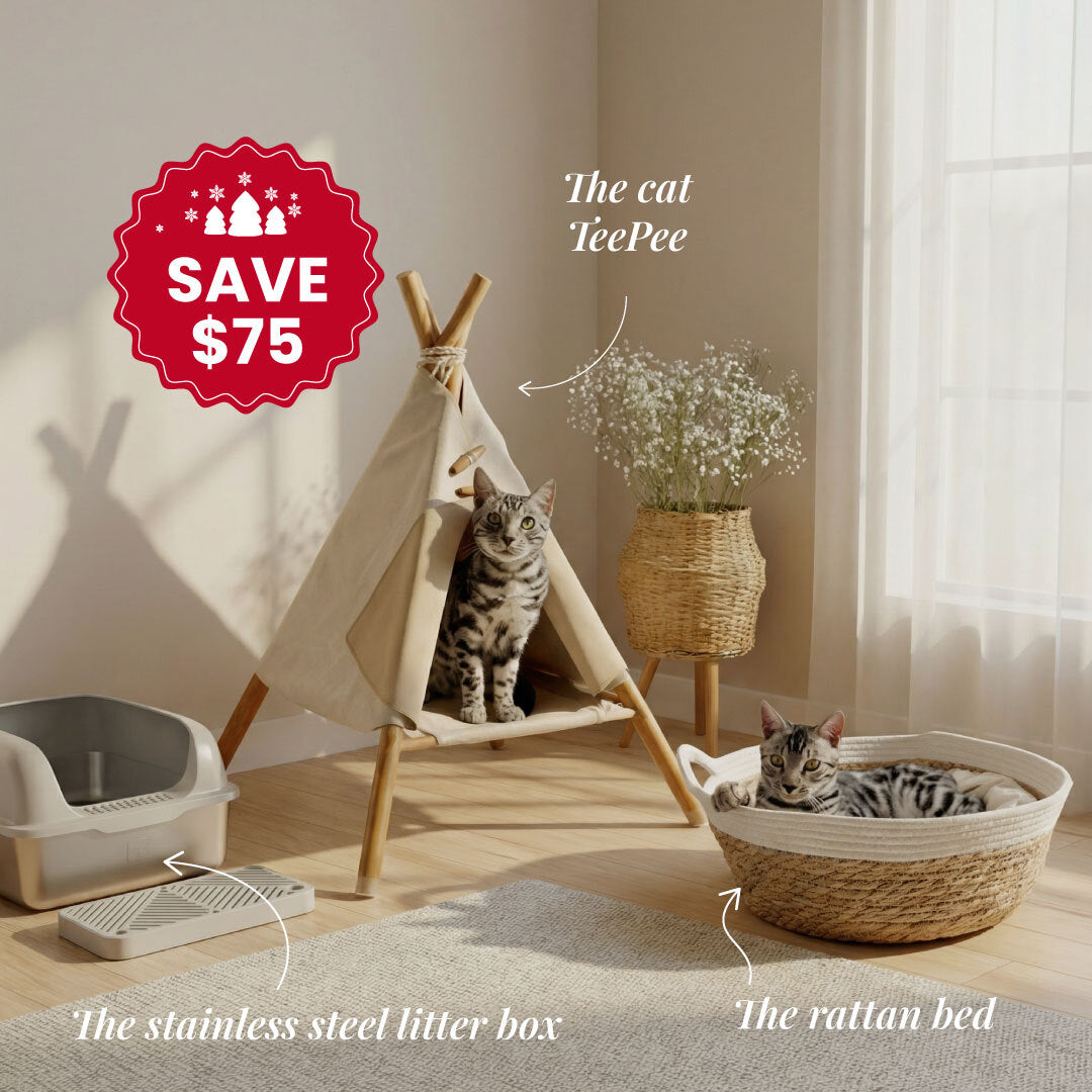 The Cat Sanctuary Bundle