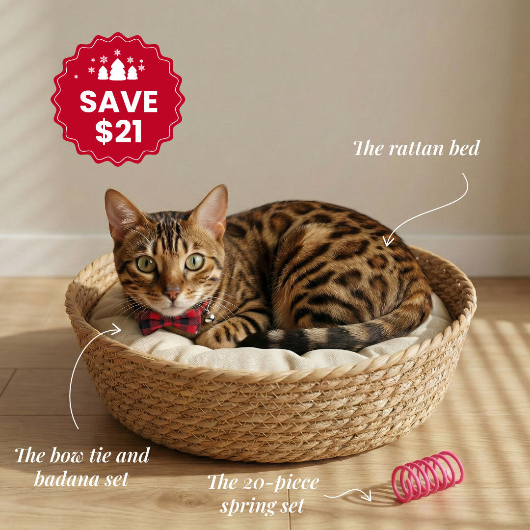 The Festive Style & Play Bundle