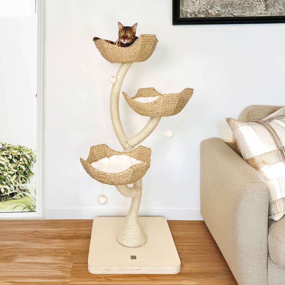 Catkea Cat Tree Cat Bed