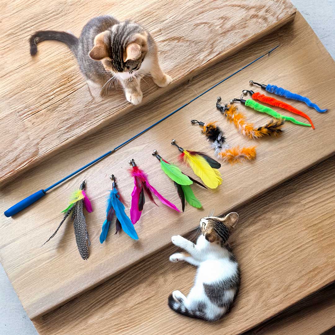 Catkea Cat feather wand set