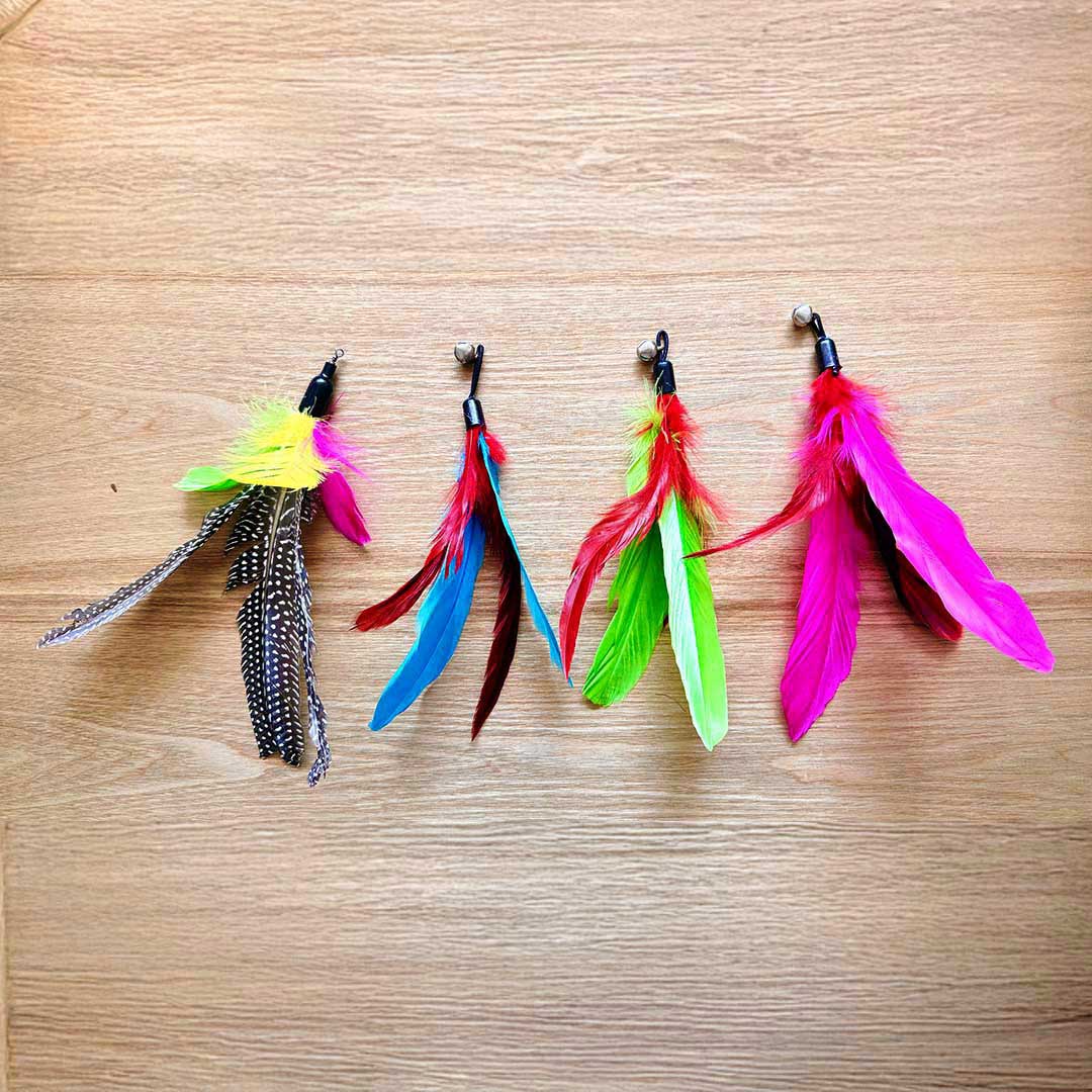Catkea Cat feather wand set