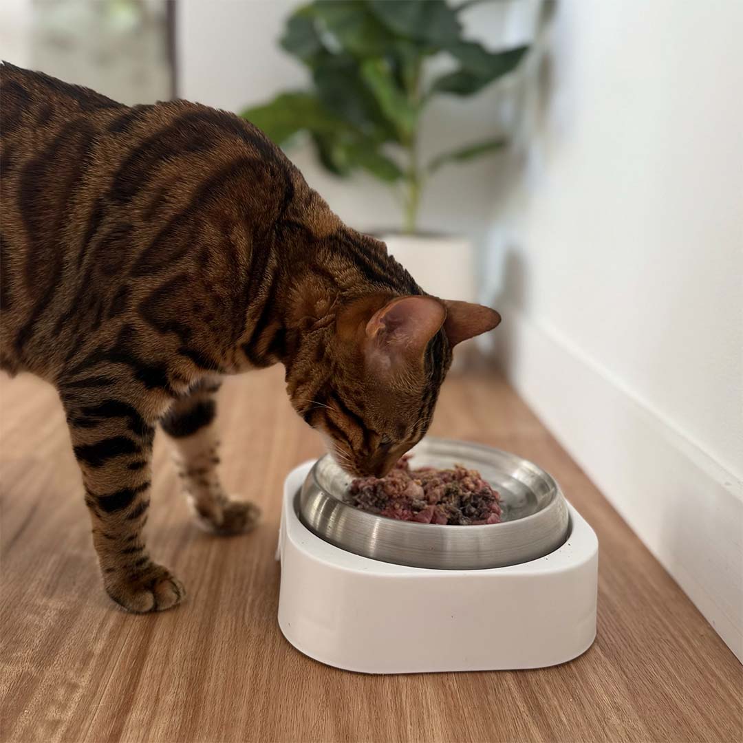 Food Bowl - Stainless Steel