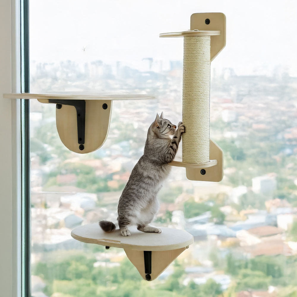 Catkea Cat Window Shelf
