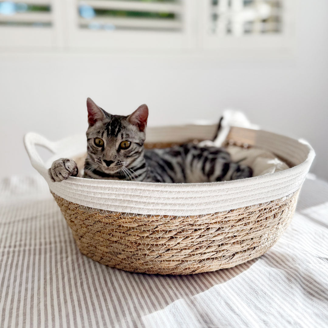 Natural Woven Cat Bed & Cushion