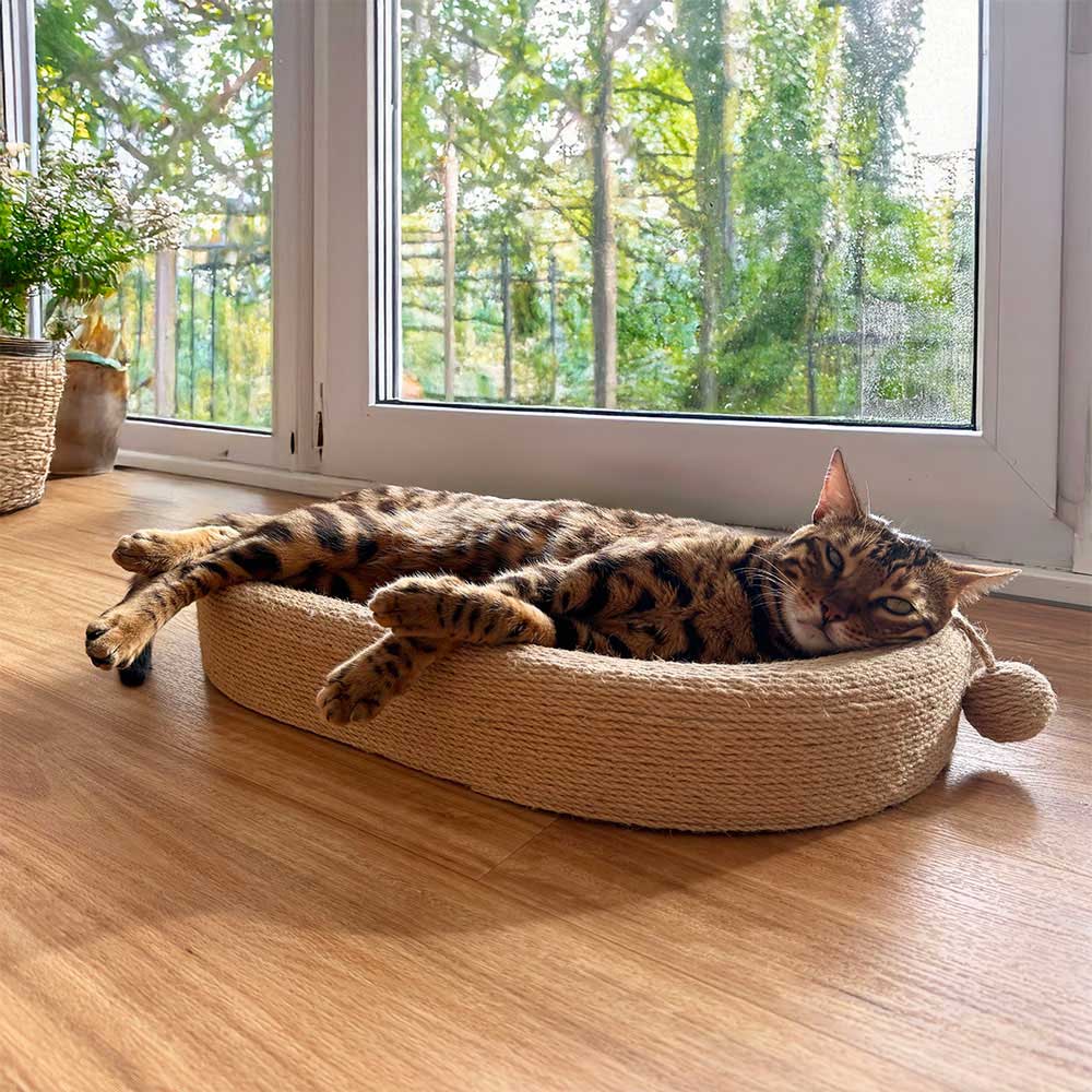 Catkea Cat Scratcher