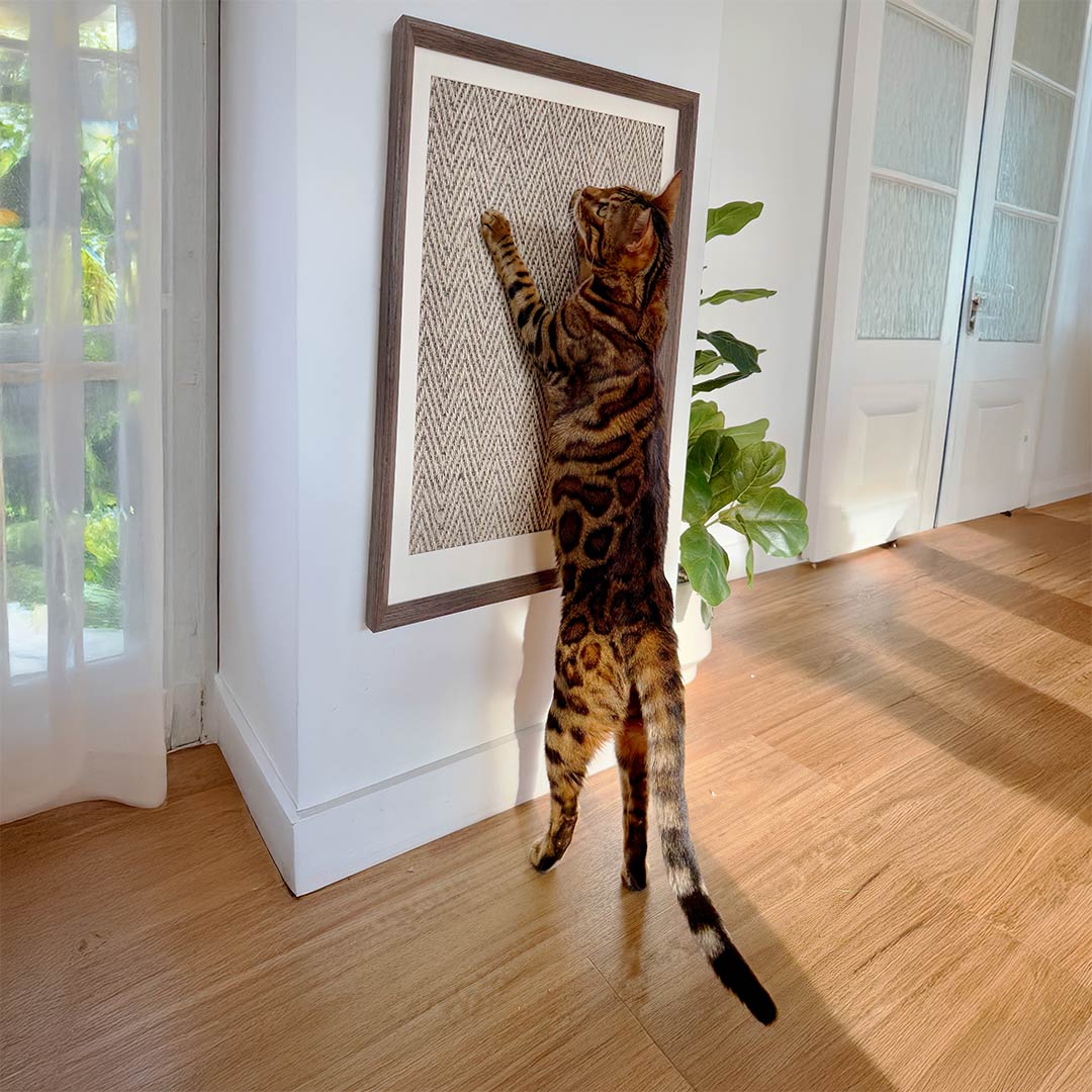 Catkea Cat Wall Scratcher