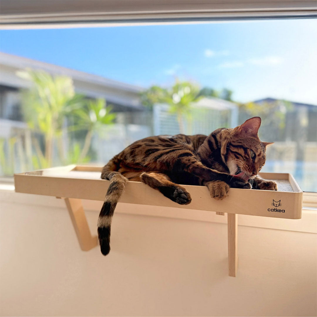 Catkea Cat Window Perch Cat Bed