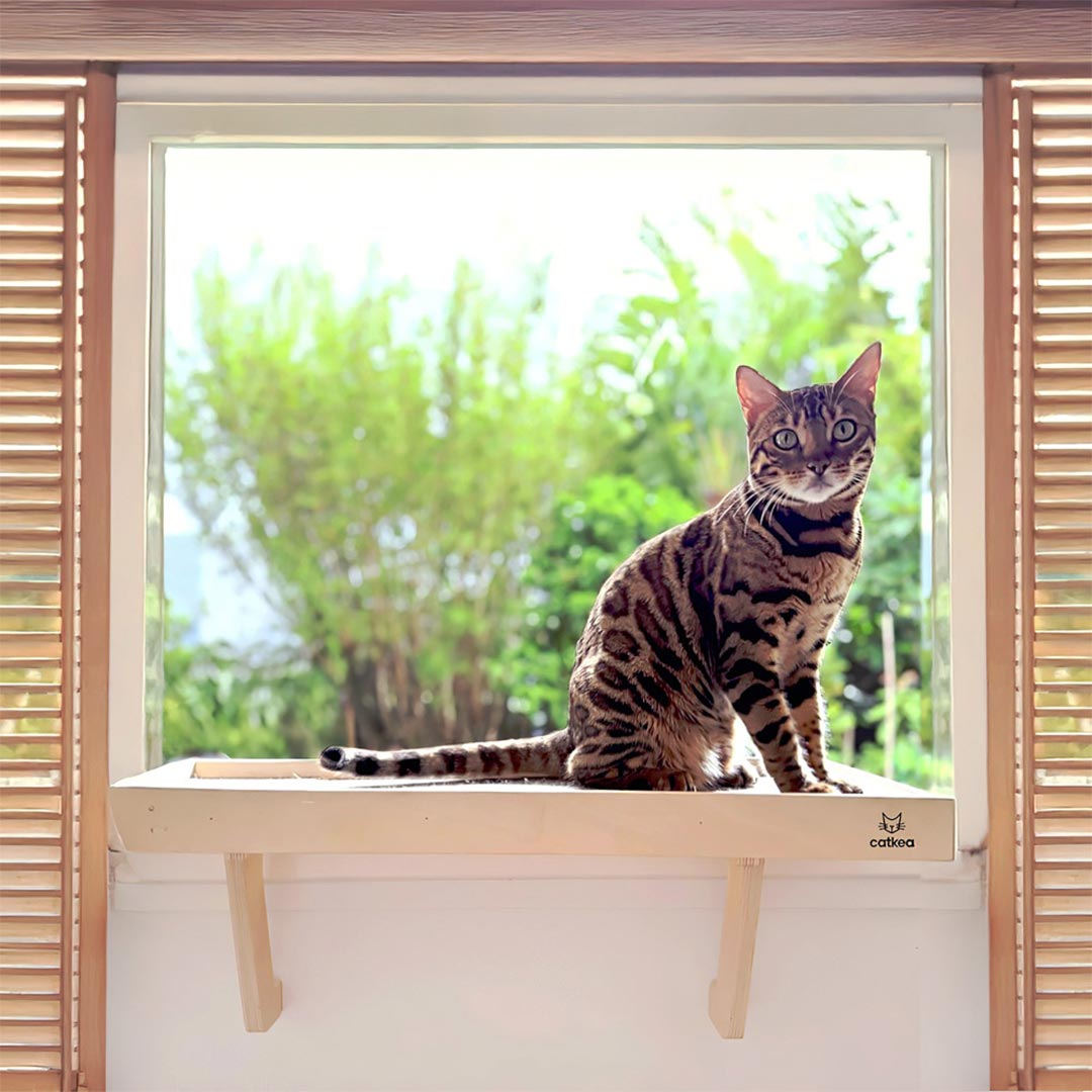 Catkea Cat Window Perch Cat Bed
