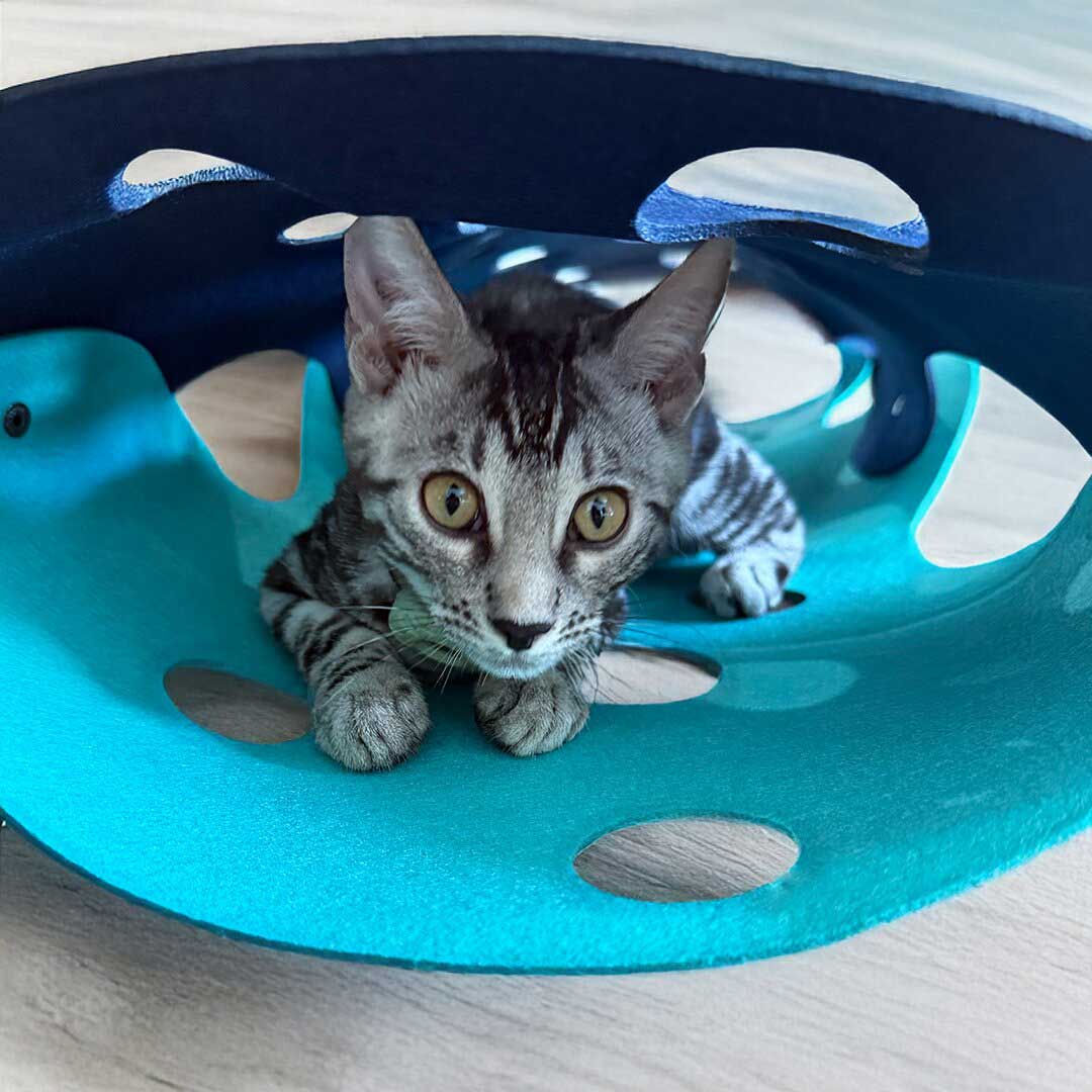 Catkea The Cat Play Tunnel