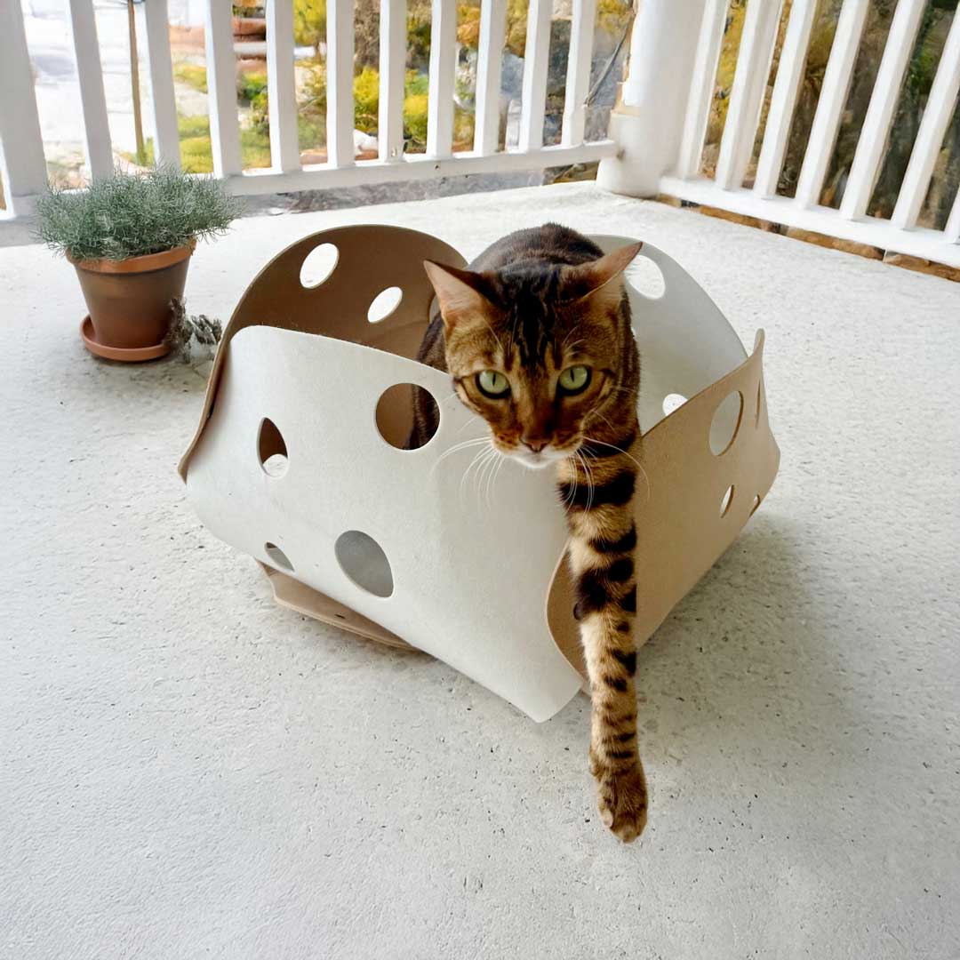 Catkea The Cat Play Tunnel