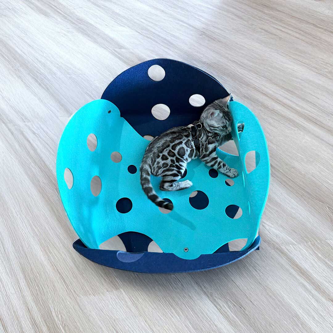 Catkea The Cat Play Tunnel