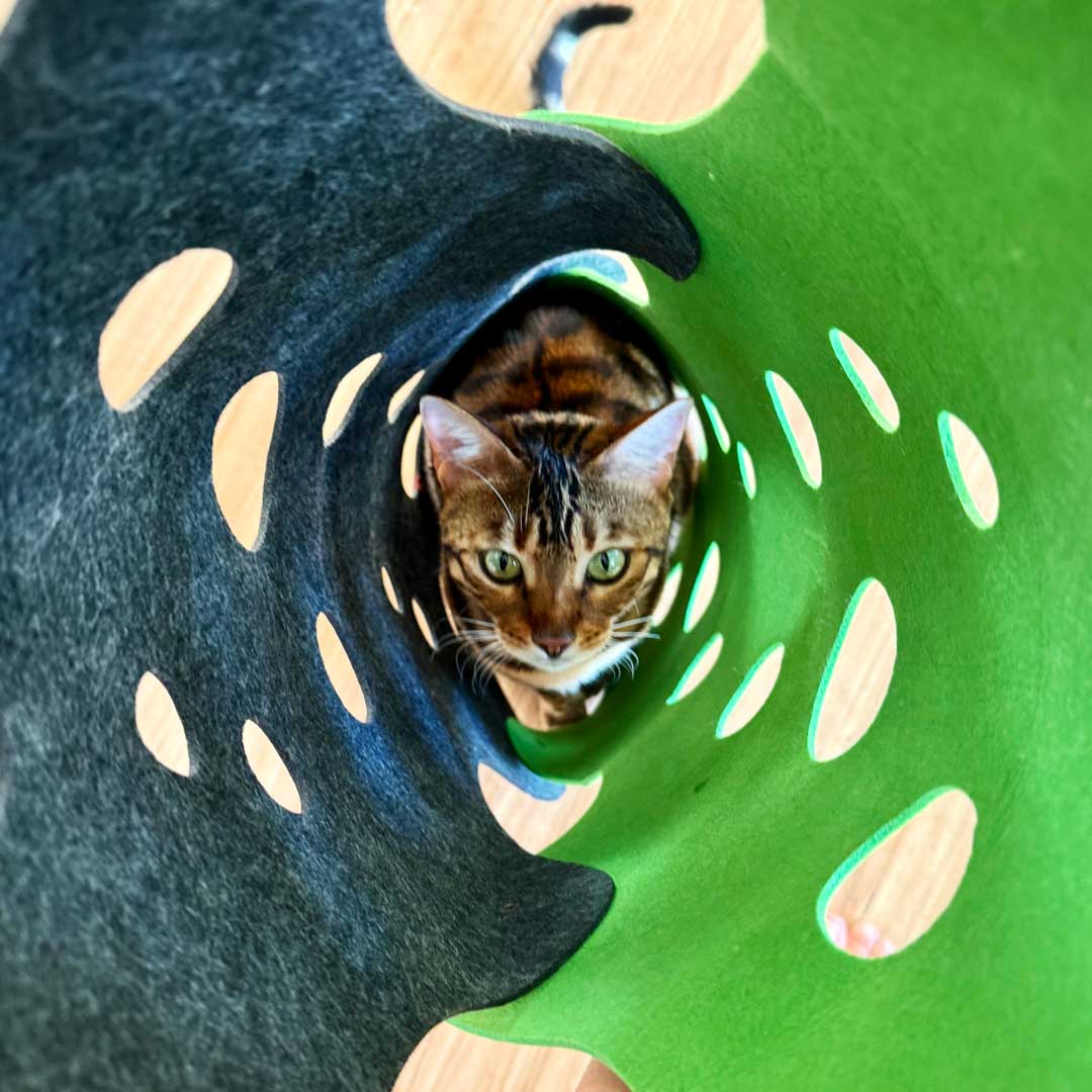 Catkea The Cat Play Tunnel