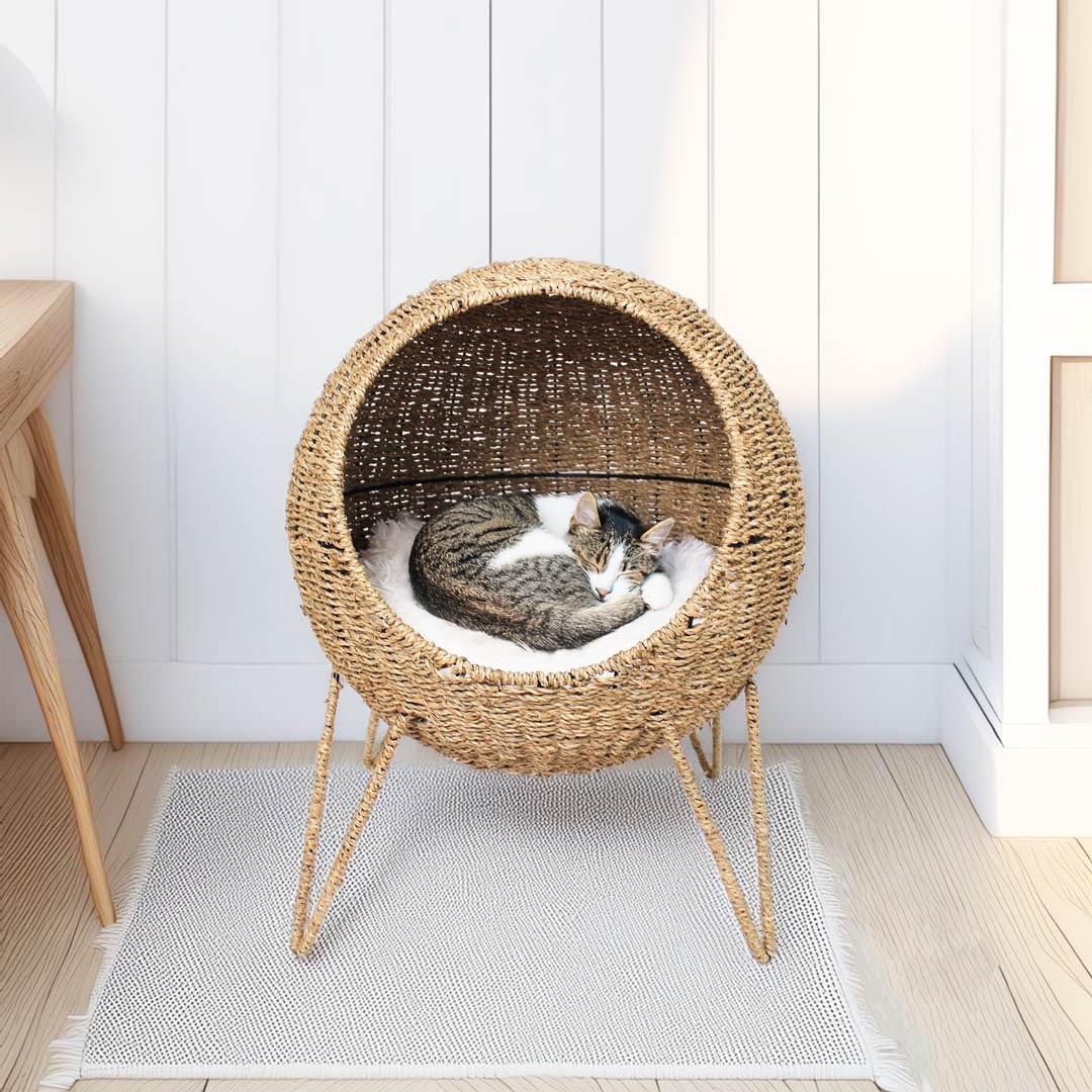 Catkea Cat Bed