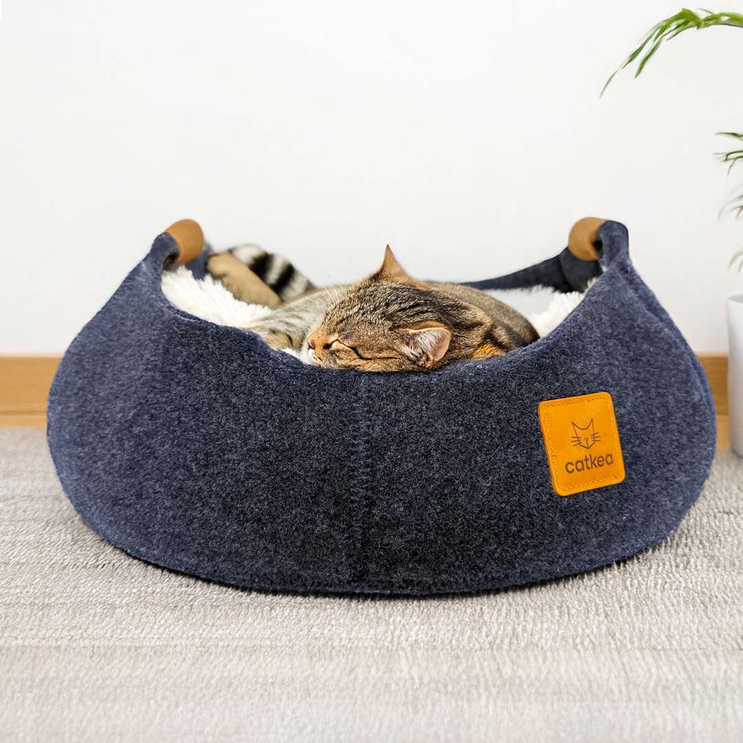 Complete Cat Home Kit