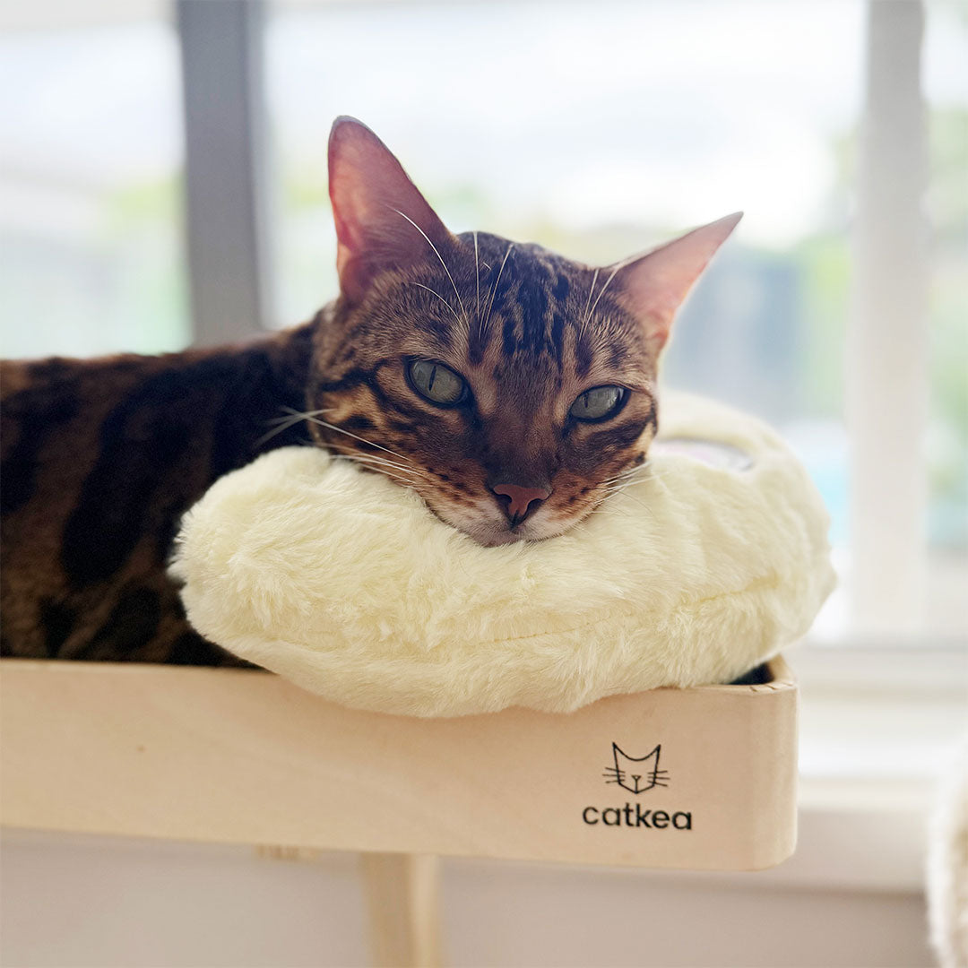 Catkea Cat Bed Pillow