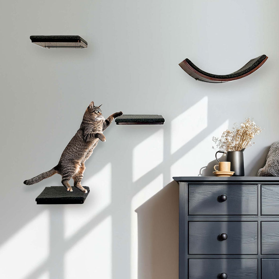 Catkea Cat Wall Shelves, Cat Bed, Cat Climbing Wall