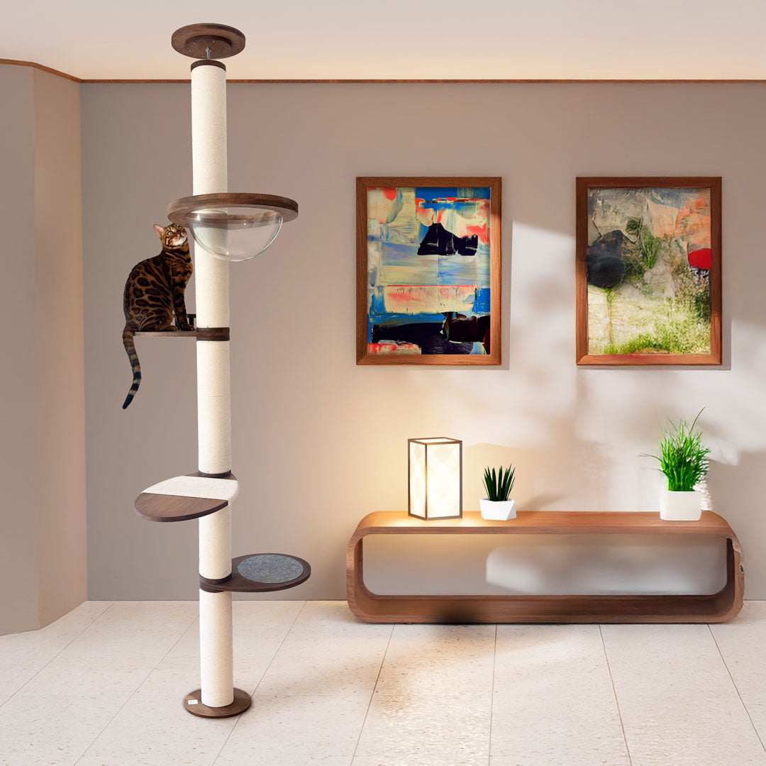 The Cat Tree House