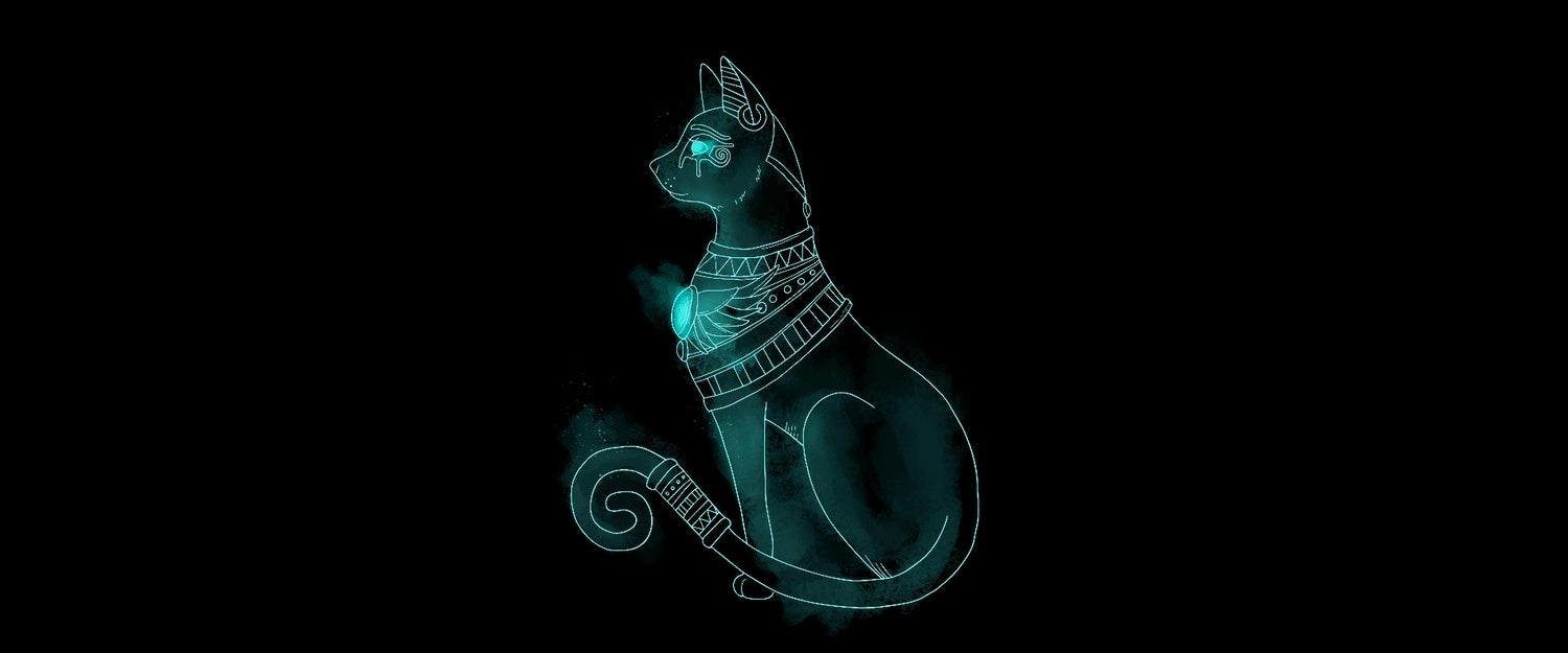 How Cats Chose Us: The Purr-suit of the Perfect Companion