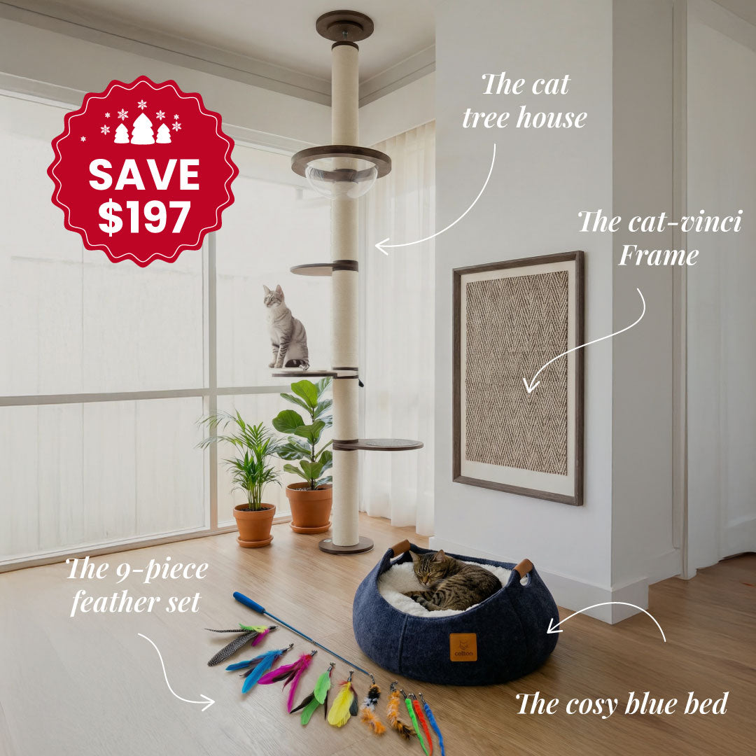 Complete Cat Home Kit