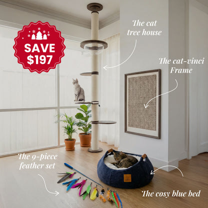 Complete Cat Home Kit