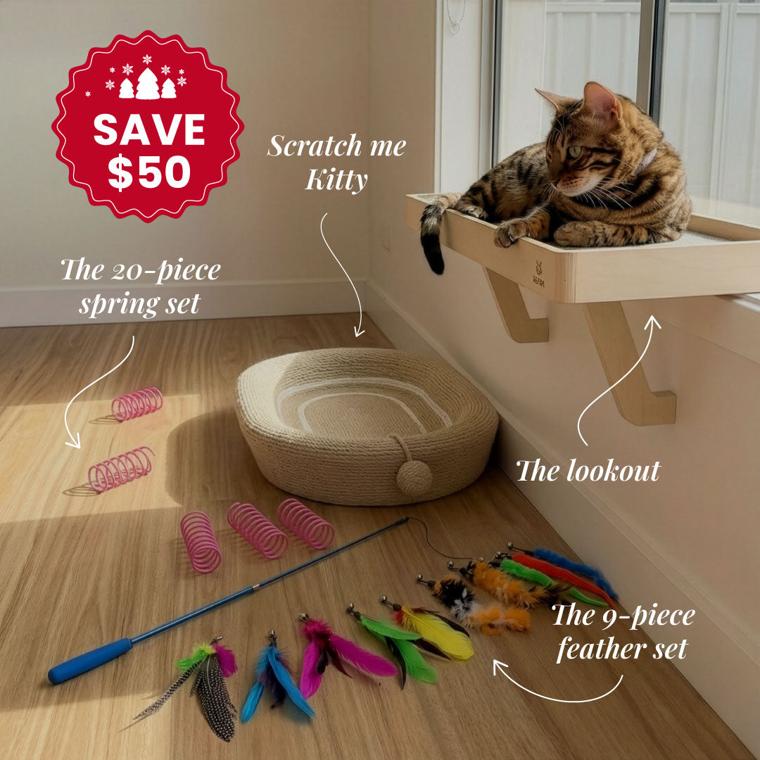 Active Cat Essentials