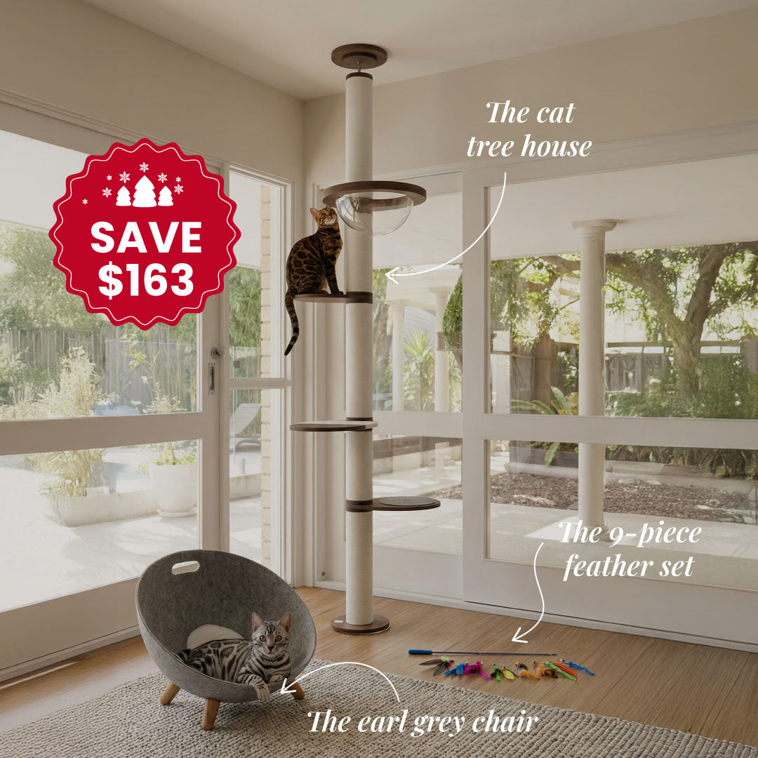 Sleep and Climb Combo