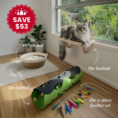 Curious Explorer Bundle