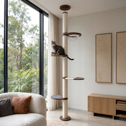 The Cat Tree House