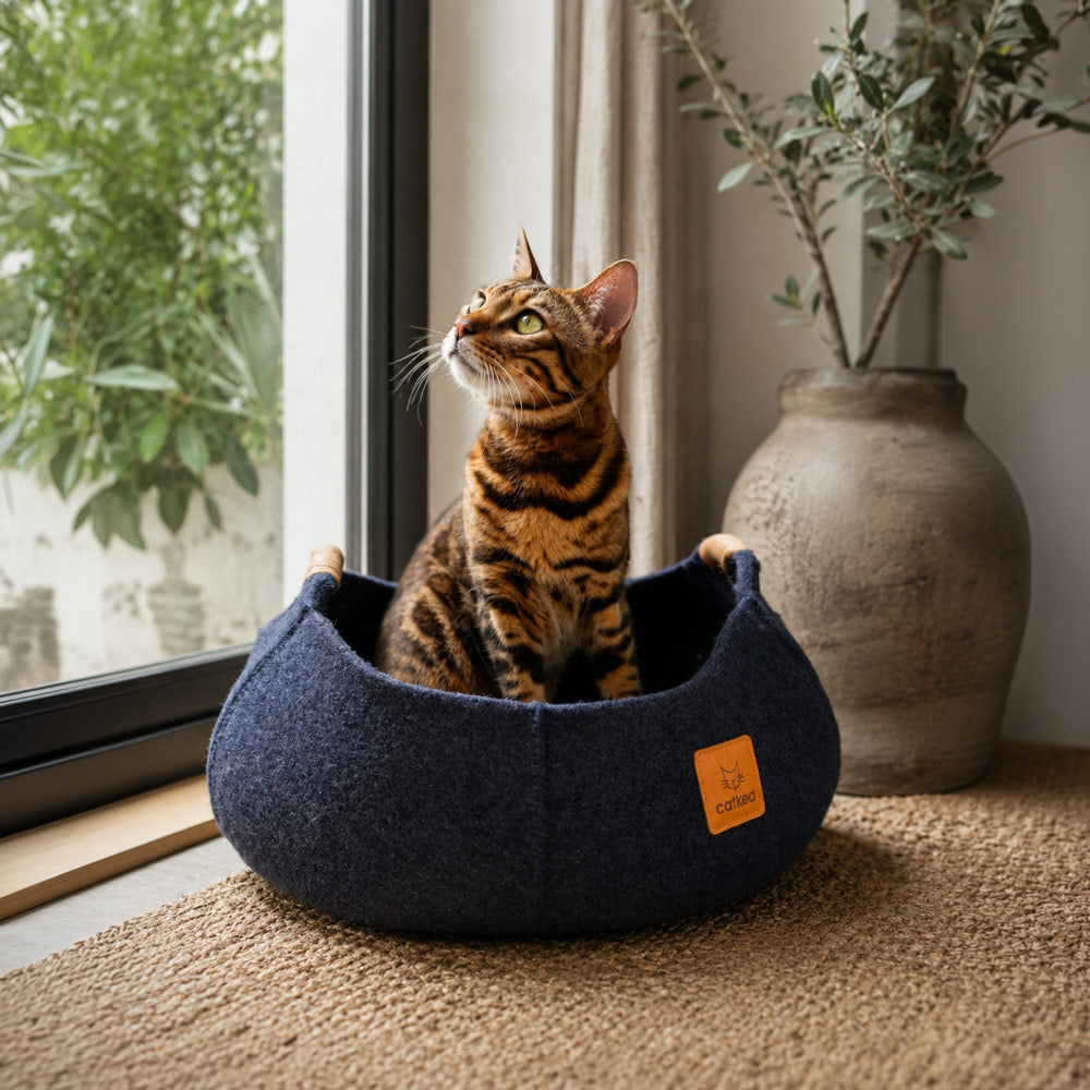 The Cosy Cat Bed