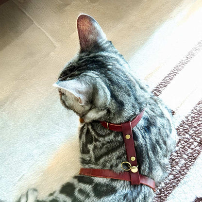 Leather Cat Harness