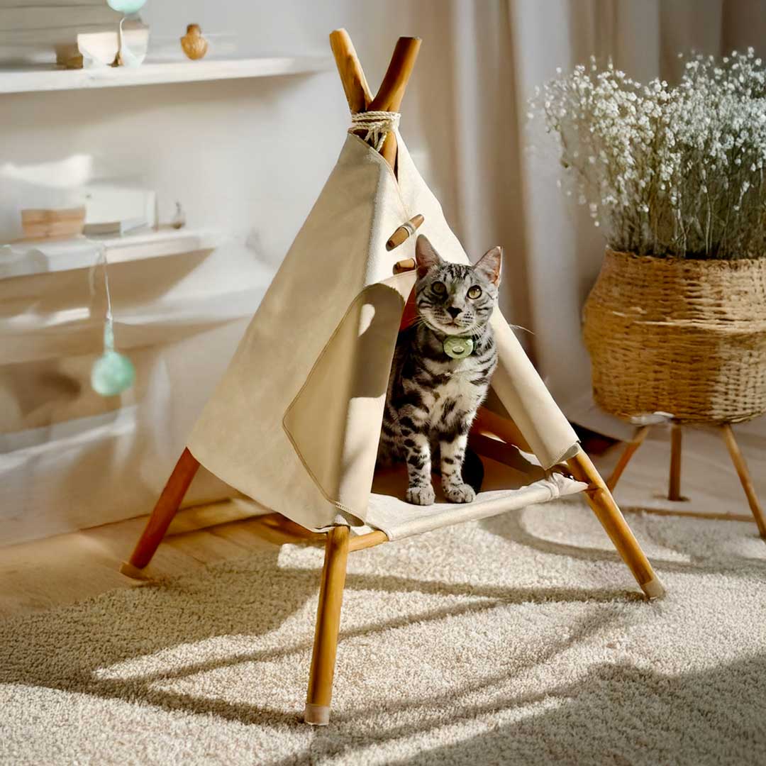 The Cat Teepee