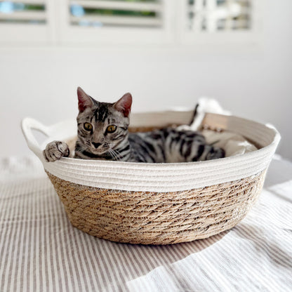 Natural Woven Cat Bed & Cushion
