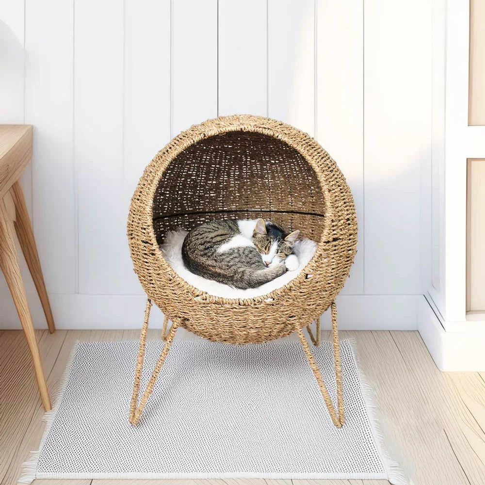 The Ultimate Pod Home Kit