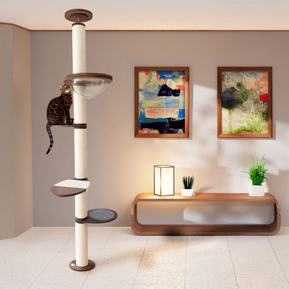 Complete Cat Home Kit